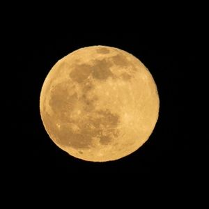 Meet your Posher, Maikel